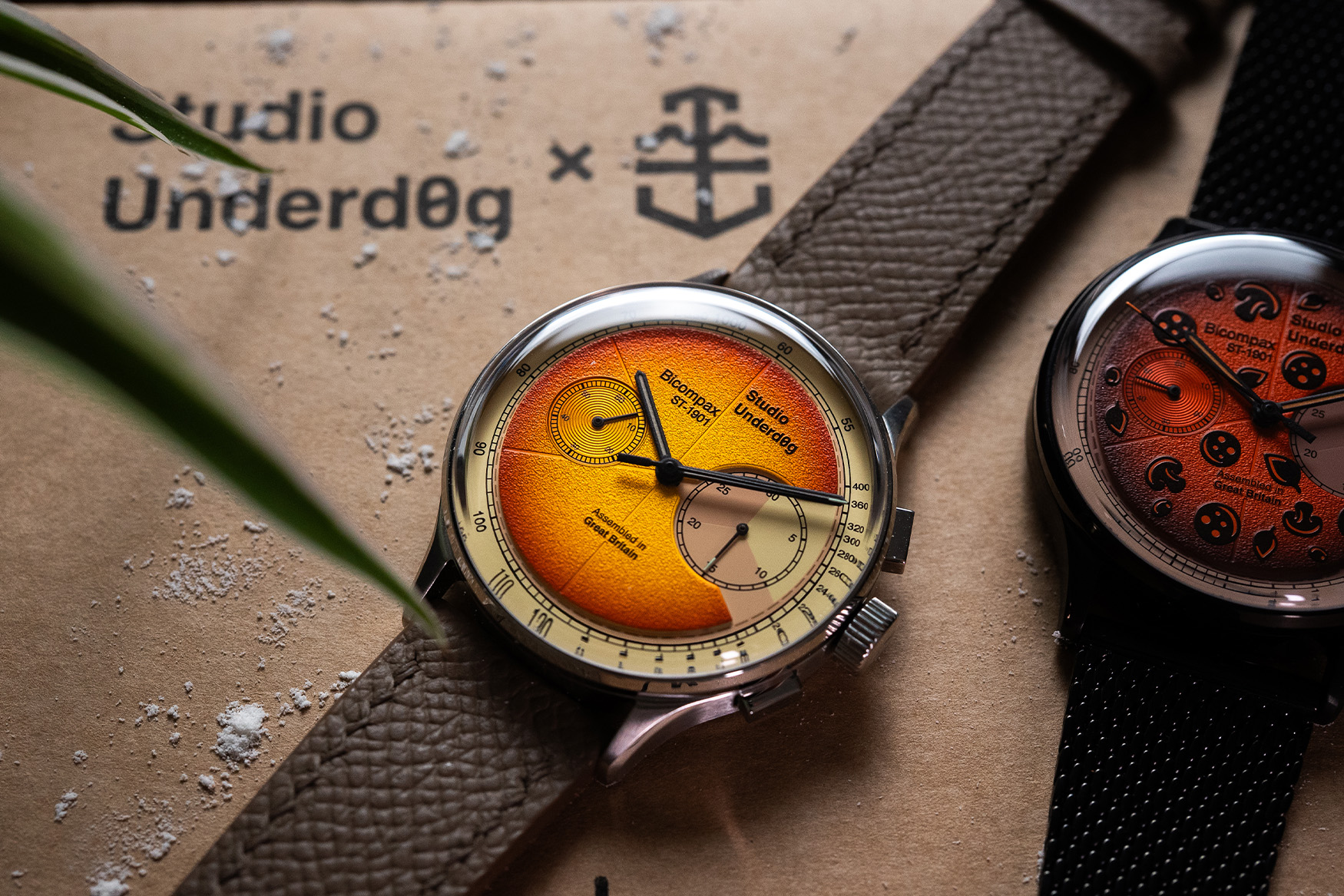 studio underdog burnt pizza dial